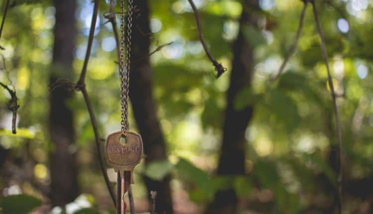 kayasehircilingirci2